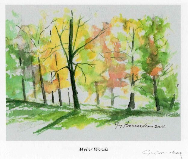 HC77, La singulière affaire de Mylor Bridge, aventure Bob Morane n° 292 – Image 3